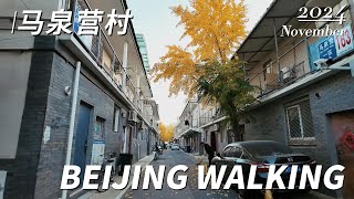 Beijing Walking,Crowded and quiet Maquanying Village