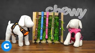 Chai's Choice Dog Leash & Harness | Chewy