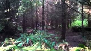 video3.mov: Port Gamble - Pope Land - Gate 1 - 2 hour ride