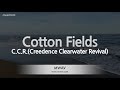 C.C.R.(Creedence Clearwater Revival)-Cotton Fields (Karaoke Version)