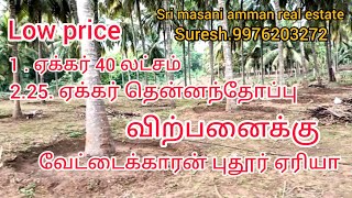 2 .25 ஏக்கர் தென்னந்தோப்பு விற்பனைக்கு வேட்டைக்காரன் புதூர் ஏரியா