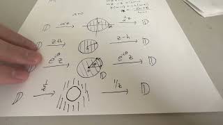 Conformal Maps