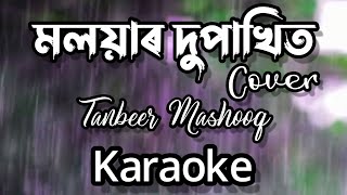 Moloyar Dupakhit || Tanbeer Mashooq || Zubeen Garg Mashup || Assamese Full Clean Karaoke With Lyrics