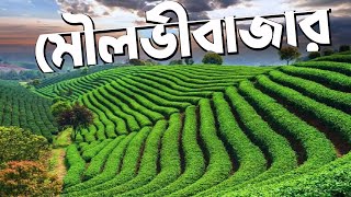 মৌলভীবাজার জেলা | মৌলভীবাজার জেলা কেন বিখ্যাত | Why Very Famous Moulvibazar District In Bangladesh