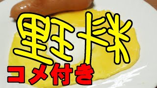 【コメ付き】いろいろな料理を逆にして作ってみた　part１