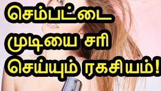 Natural Remedies For Brown Hair |  செம்பட்டை முடியை சரி செய்ய குறிப்புகள்