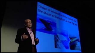Does our future require us to go back to nature?: Ashok K. Goel at TEDxPeachtree 2012
