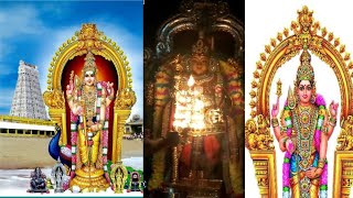 வைகாசி விசாகம்|Vaikasi Visakam கந்தனை வழிபட்டால் கஷ்டம் நீங்கும்|Thiruchendur Murugan #வைகாசிவிசாகம்