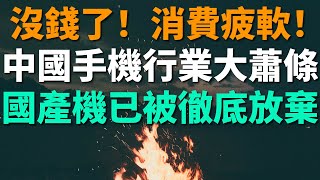 老百姓沒錢了！消費疲軟！中國手機行業遇上大蕭條，國產手機已被徹底放棄，老百姓不願買國產機。國產手機出貨量大跌三成，組裝工人收入暴跌，大量代工廠閒置倒閉。消費者不願買手機了，換機週期長達三年。