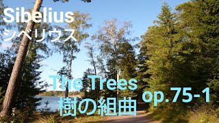 Ayane Matsuura - Sibelius: Five Piano Pieces op.75 No.1 / 松浦綾音 - シベリウス：5つの小品 作品75 第1番