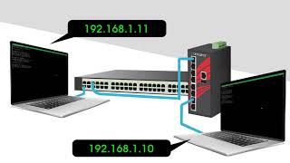 VLAN Trunking with an Antaira \u0026 Cisco Switch