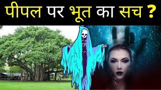 पीपल पर भूत का सच ? || Does the ghost really live on the Peepal tree? || Brain Builder