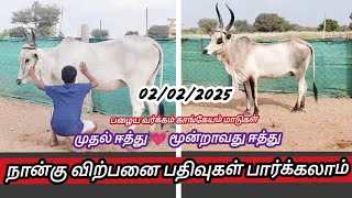 💐 நான்கு விற்பனை பதிவுகள் 💥🔥 காங்கேயம் கன்றுகள் மாடுகள் 💖 #agriculture