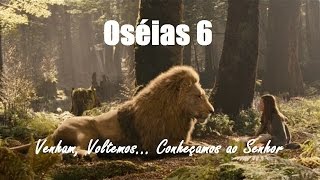 Oséias 6:4-6 (Misericórdia x Sacrifício) | Calvary Curitiba