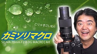 カミソリマクロ SIGMA 70mm F2.8 DG MACRO | Art キレッキレの鋭さ！シグマのツッコミマスター単焦点マクロレンズが素晴らしい