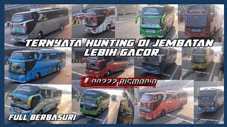 ternyata hunting di jembatan lebih gacor + jackpot🔥🔥🔥