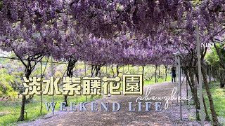 Trip in Taiwan: 淡水紫藤花園(Tamsui Wisteria Garden)/台北藝術大學(Taipei National University of the Arts)