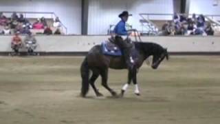 2009 RASC NRHA Open - BSF Shortypoo / Nicole Brown