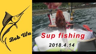 Bob Wu：SUPfishing sup釣魚 石斑爆桶