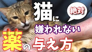 猫に嫌われず簡単に薬を飲ます方法