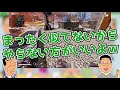 今流行のapex legendsをアナゴさんが教えてくれる動画ｗｗ【柊みゅう】