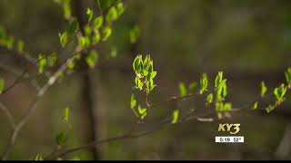 Springfield Conservation & Nature Center preserving a little piece of natural beauty in the Ozark...