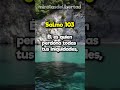 Salmo 103: Bendiciones y Perdón Divino Revelados