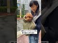 ervadog ボア・スリングブランケットの着せ方🐶