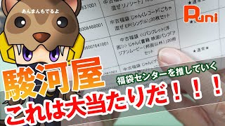 【駿河屋】今年の福袋センター初め！これは大当たり！あんまんトイレに大興奮！