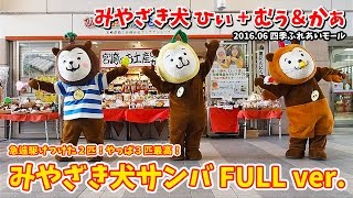 【みやざき犬】みやざき犬サンバ FULL ver. ：途中で２匹が参加！最高なサプライズ！ (201609)