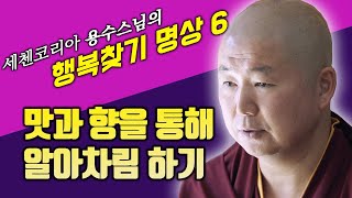 맛과 향 알아차림 하기 - 용수스님 행복찾기 명상 6회