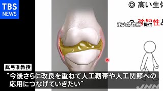 引っ張ると頑丈になるゲルを開発、人工靭帯へ応用も