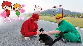 지자체 수인 되기(진짜 염색함)