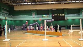 第五屆全港公開技能舞龍錦標賽 20141102 青年組 障礙龍 5th HK Open Skilled Dragon Dance Competition