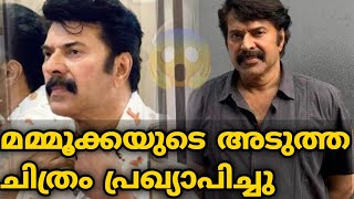 മമ്മൂക്കയുടെ അടുത്ത ചിത്രം പ്രഖ്യാപിച്ചു | Mammootty Next Movie Announced | MS WORLD