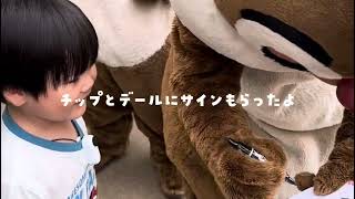 【3歳のキャラグリ】香港ディズニー チップとデール