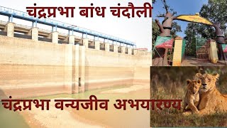 चंद्रप्रभा बांध|Vlog 5 | चंद्रप्रभा वन्यजीव अभयारण्य| Chandraprabha dam