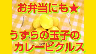 ★レシピ動画★お弁当にも😊簡単♪うずら玉子のカレーピクルス★【hirokoh(ひろこぉ)のおだいどこ】