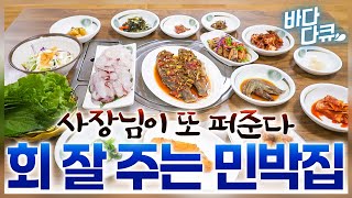 끼니마다 9첩 이상! 하루종일 바다에서 고기 잡아오는 민박집 갔다가 깜짝 놀란 외국 여자 / #바다다큐