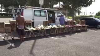 farmer's market hawaii kai open market organic vegetable fruit 20151107 1342