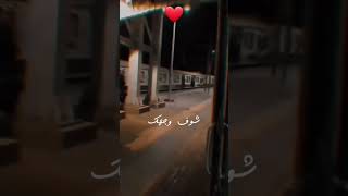 FADED X ARABIC Mahmoud al dmeiry عاشت عیدک new tiktok song and status arabic new song.