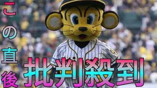 阪神、「トラッキー」「ラッキー」「キー太」に続く第4の新マスコット誕生へ　トラッキーの親族か？ Sk king