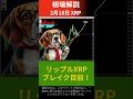 【fx為替相場予測＆解説】2 18 リップルxrp、ブレイク目前！ shorts fx xrp 相場 予測 デイトレ テクニカル分析