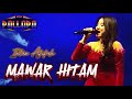 INTAN AFIFAH - MAWAR HITAM - NEW PALLAPA 2024 TERBARU #terbaru #newpallapaterbaru #dangdut