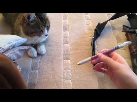 Iful Twitter まとめ Youtube