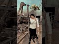 funny ostrich shorts funnyanimals funnypeople