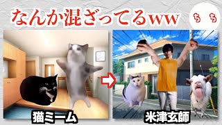 大人気の「猫ミーム」、米津玄師が紛れ込んでしまうww