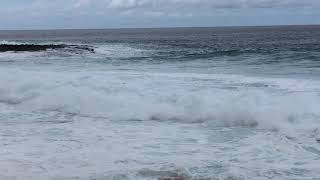 Hawaiian Lifeguard Rescues Struggling Swimmer on Oahu’s North Shore