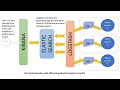 Real TIme Python Log Ingestion with Logstash & elk and Visualize Logs on Kibana | Demo & Code