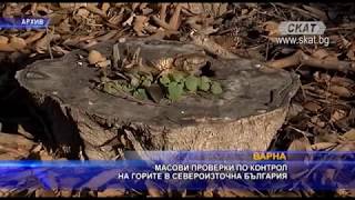 Масови проверки по горите в Североизточна България